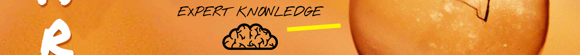 Learn the knowledge you need to grow in your career.